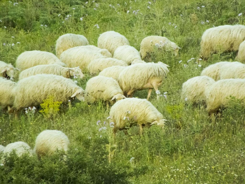 Tenuta Su Vrau 포사타 외부 사진